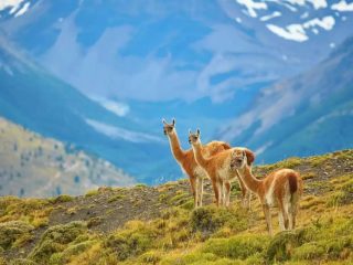 Chile - Journey House Travel