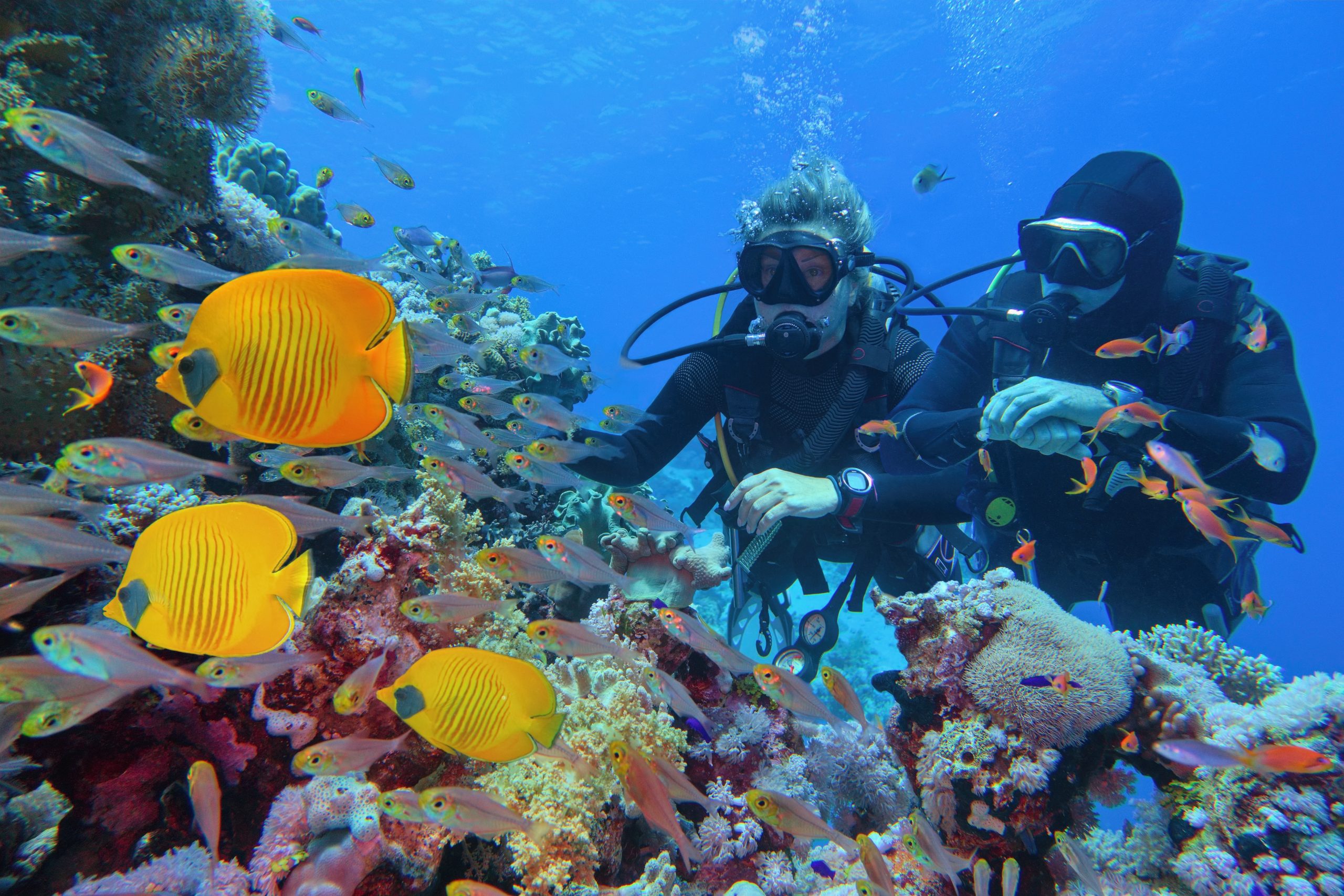 Scuba divers couple near beautiful coral reef in Great Barrier Reef - Journey House Travel, OK