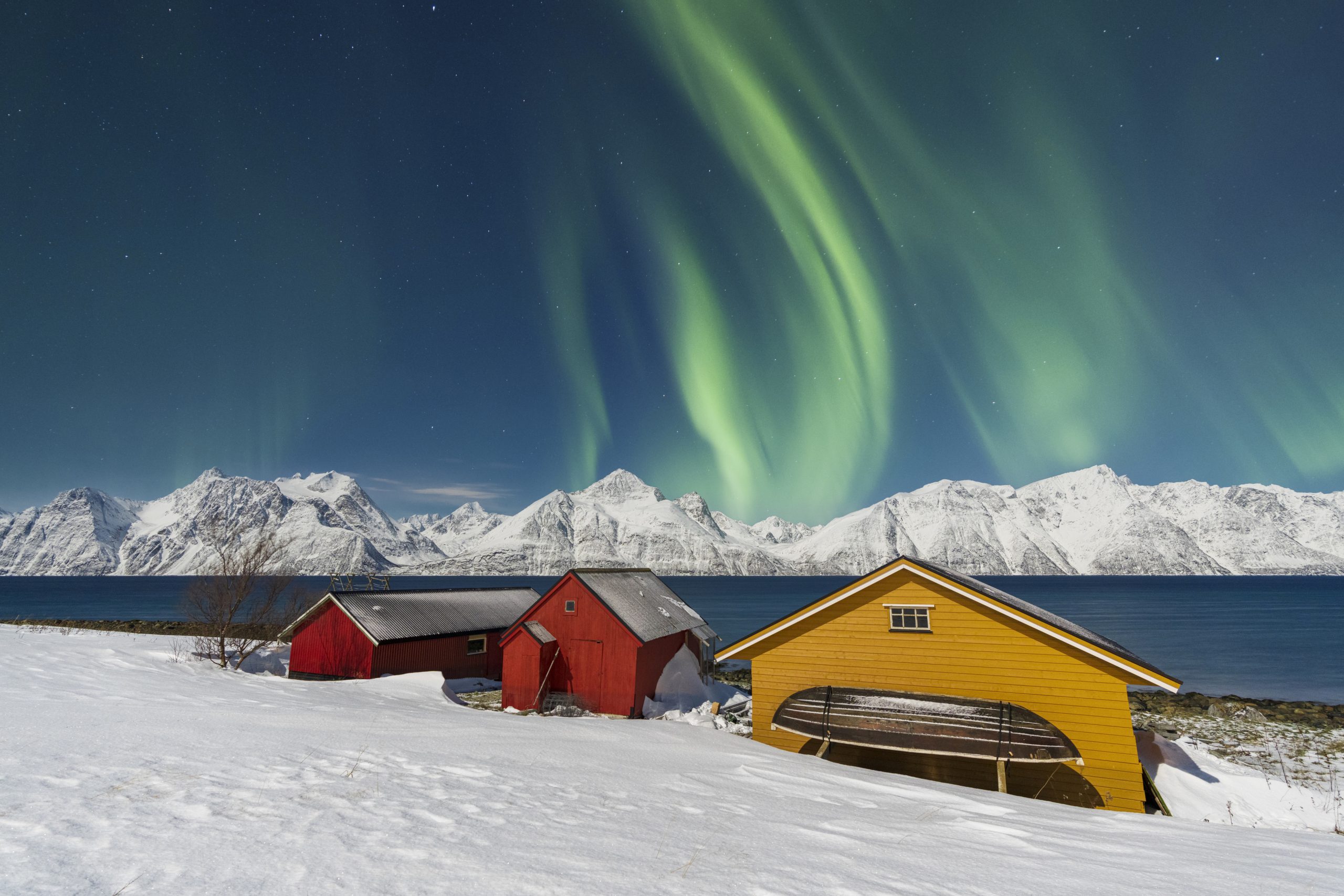 Northern lights in the arctic landscape, Norway - Journey House Travel OK