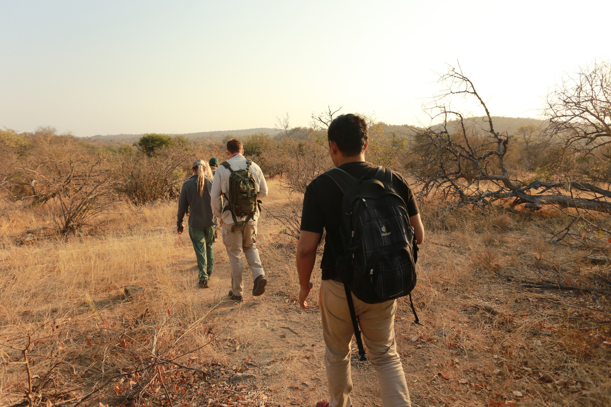 bush walk in Kruger national park - Journey House Travel