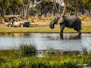 Tourist jeep and elephant in the Chobe N.P. - Journey House Travel
